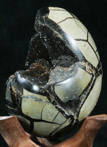 Septarian Dragon Egg Geode - Black Calcite Crystals #33985